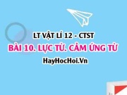 Cảm ứng từ B là gì? Biểu thức tính lực từ, công thức...